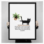 Hands holding a large black framed funny black cat knocking fern off shelf with cats are basically plants quote canvas art print with a bold flat black cartoon cat on a wooden shelf nudging a wicker potted fern with a witty typewriter-font humorous quote on a clean white background