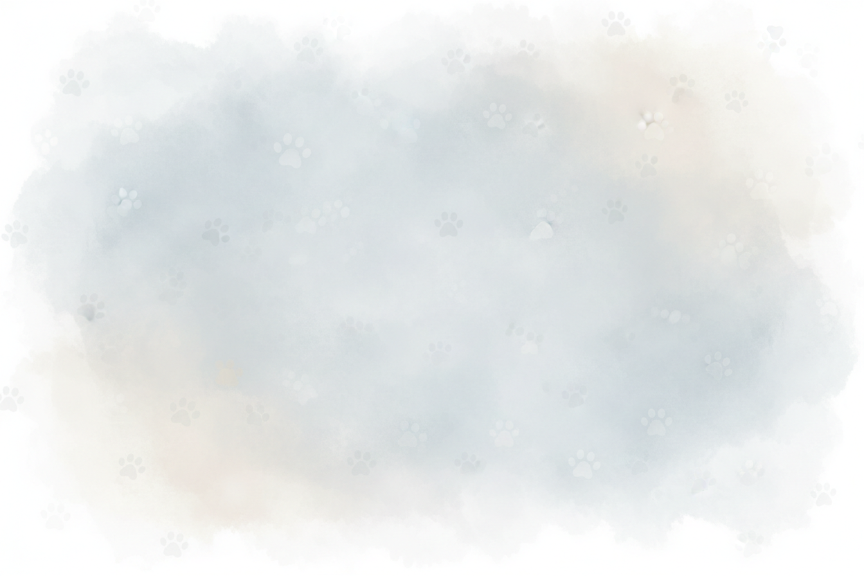Minimalist FAQ Background 2